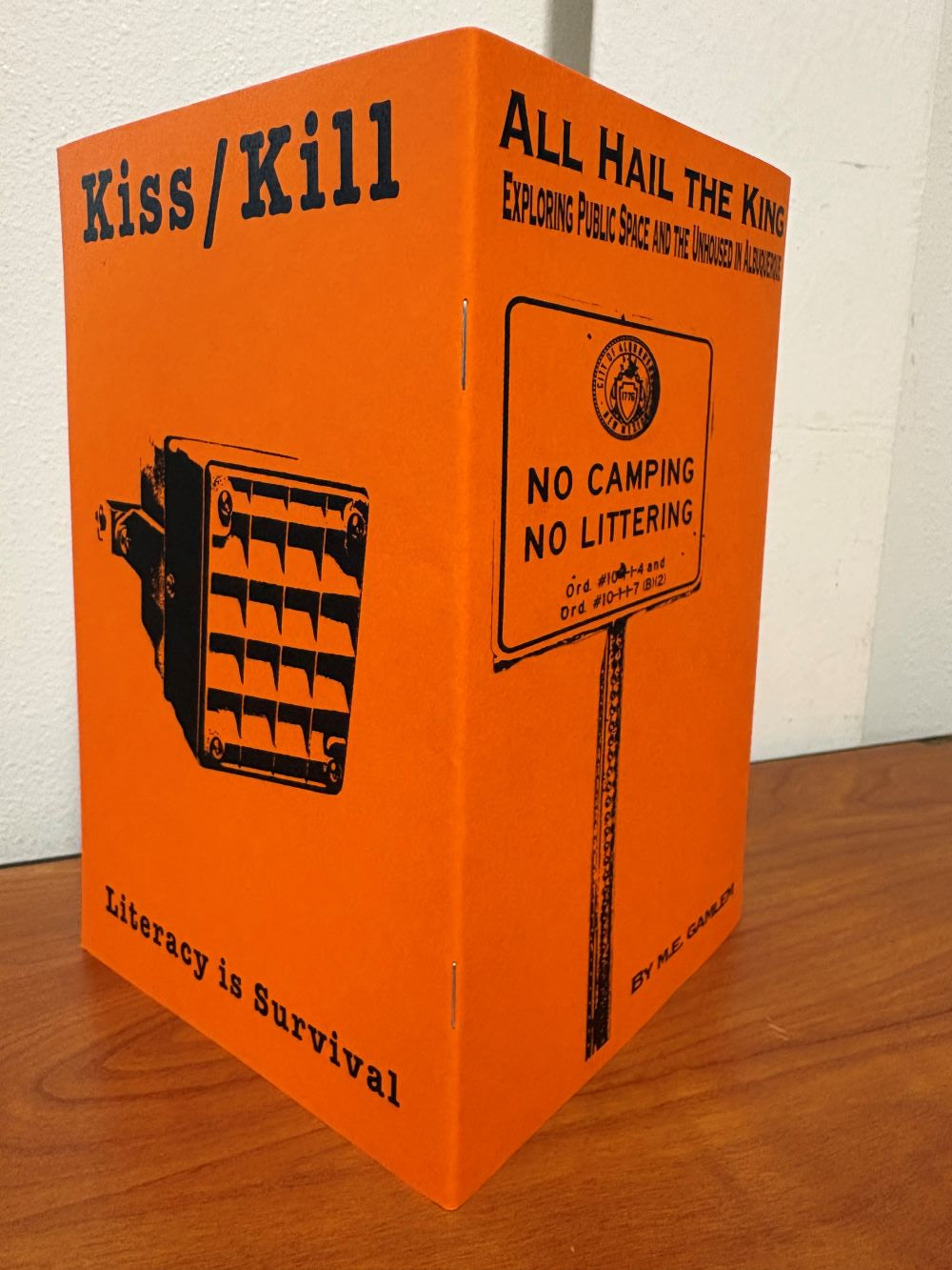 All Hail the King: Exploring Public Space and the Unhoused in Albuquerque