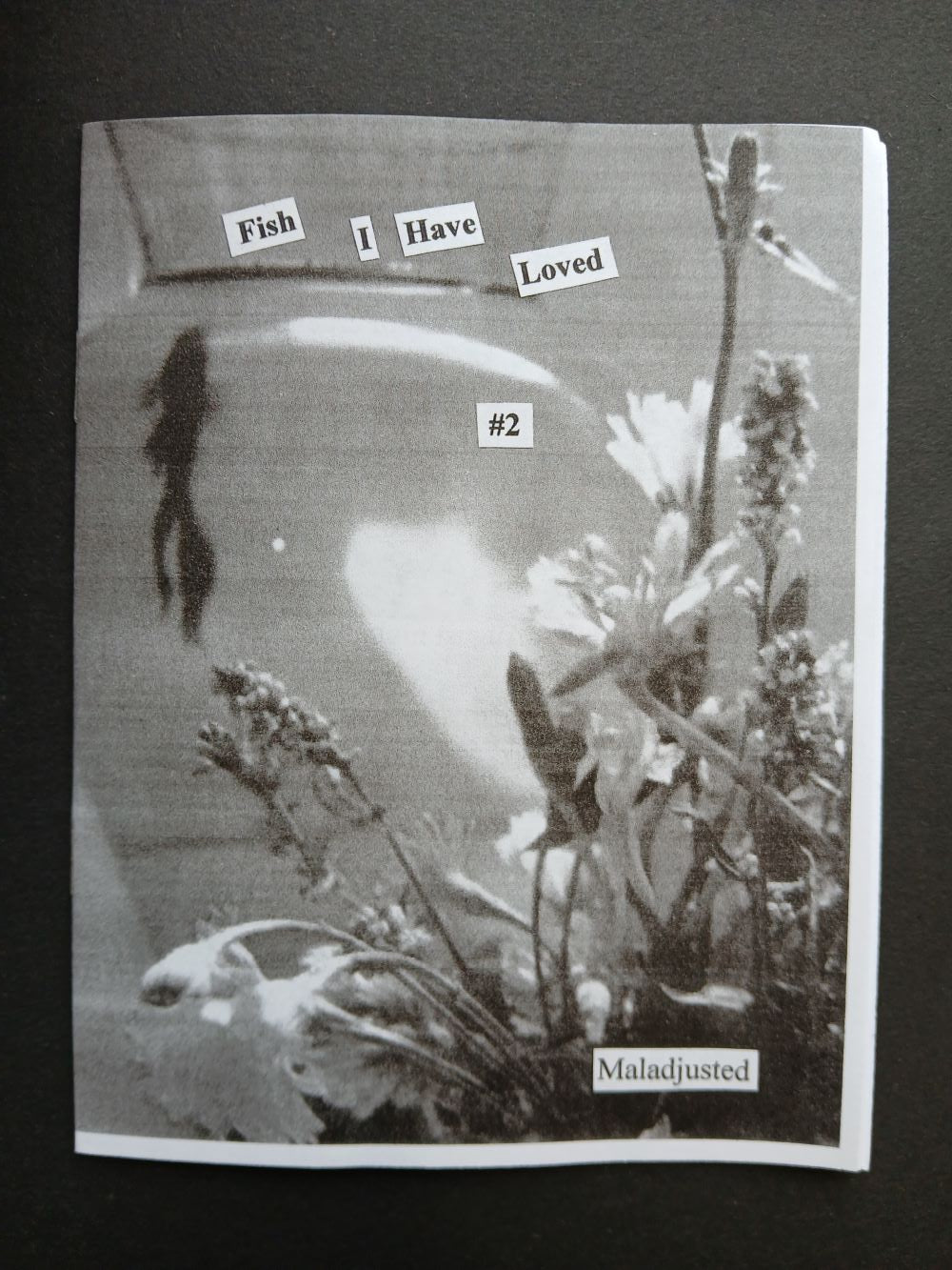 Fish I Have Loved #2