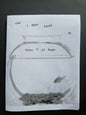 Fish I Have Loved #1