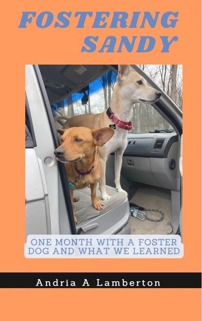 Fostering Sandy