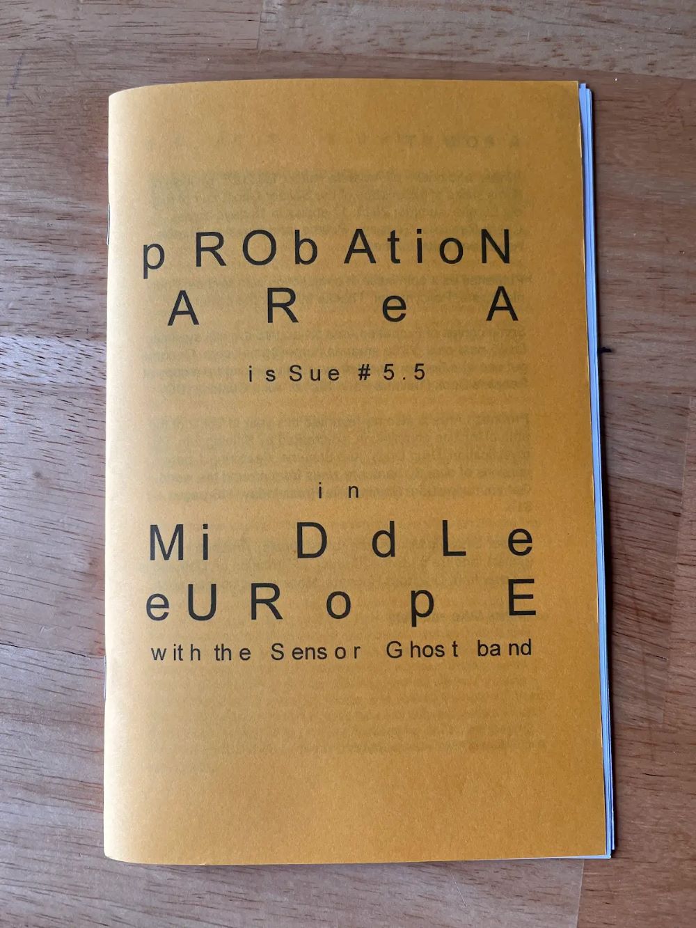 Policymaker 51/Probation Area 5.5