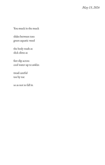 System of Repetitions #2