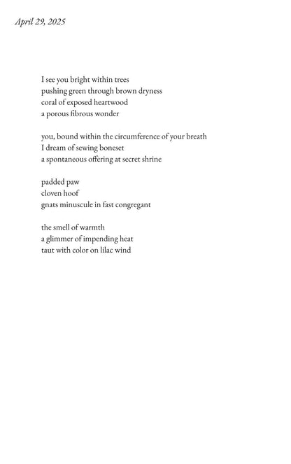System of Repetitions #2