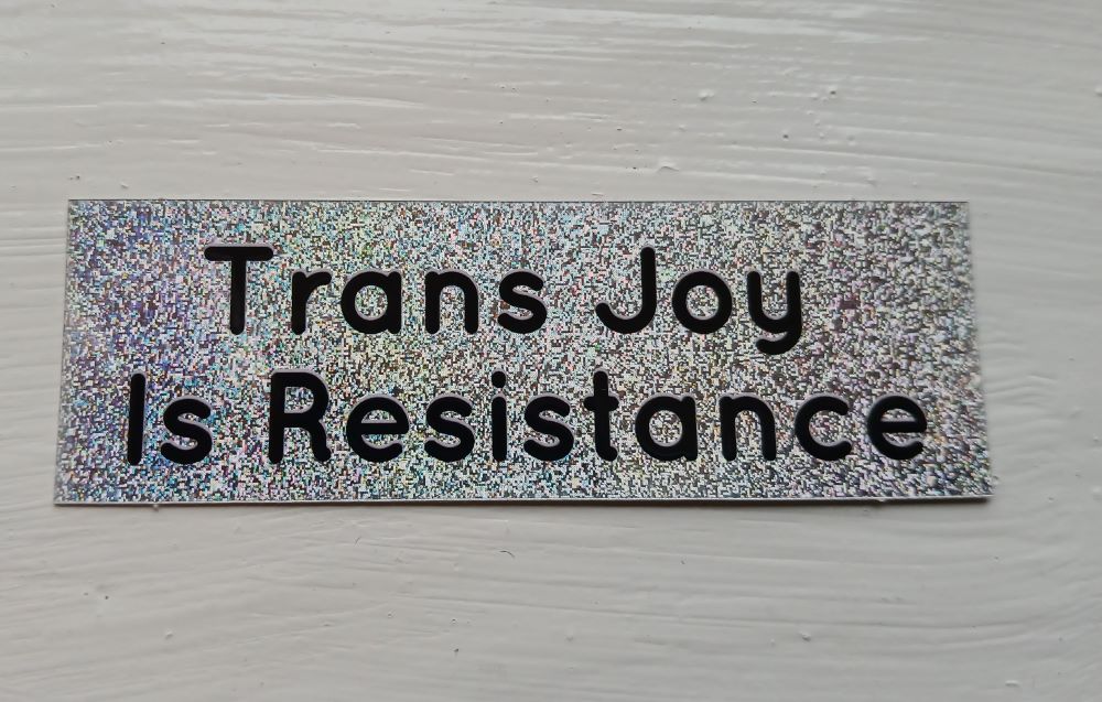Trans Joy Sticker
