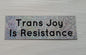 Trans Joy Sticker