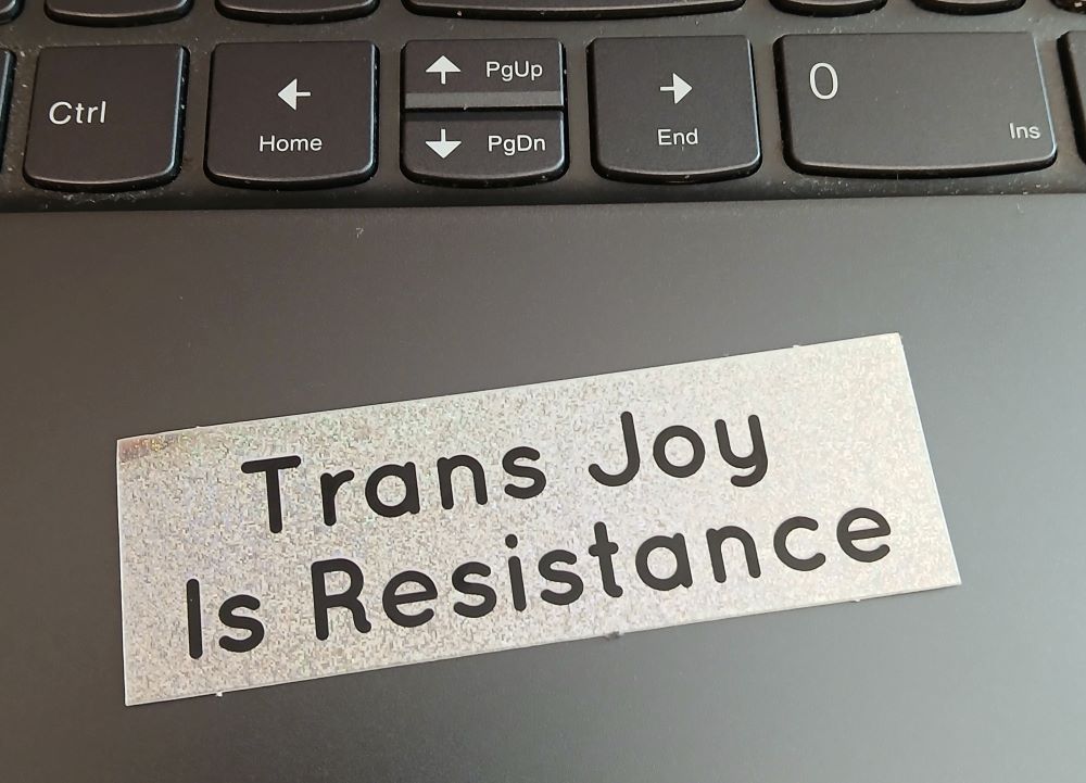 Trans Joy Sticker
