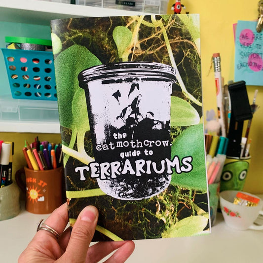 The catmothcrow Guide to Terrariums